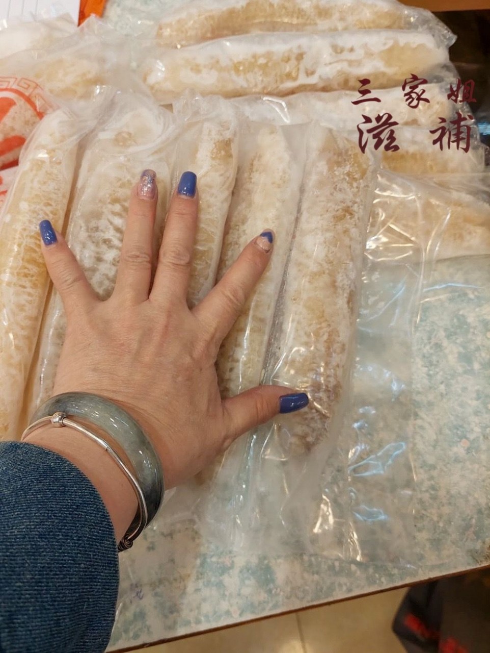 澳洲金沙禿參（28-30頭)