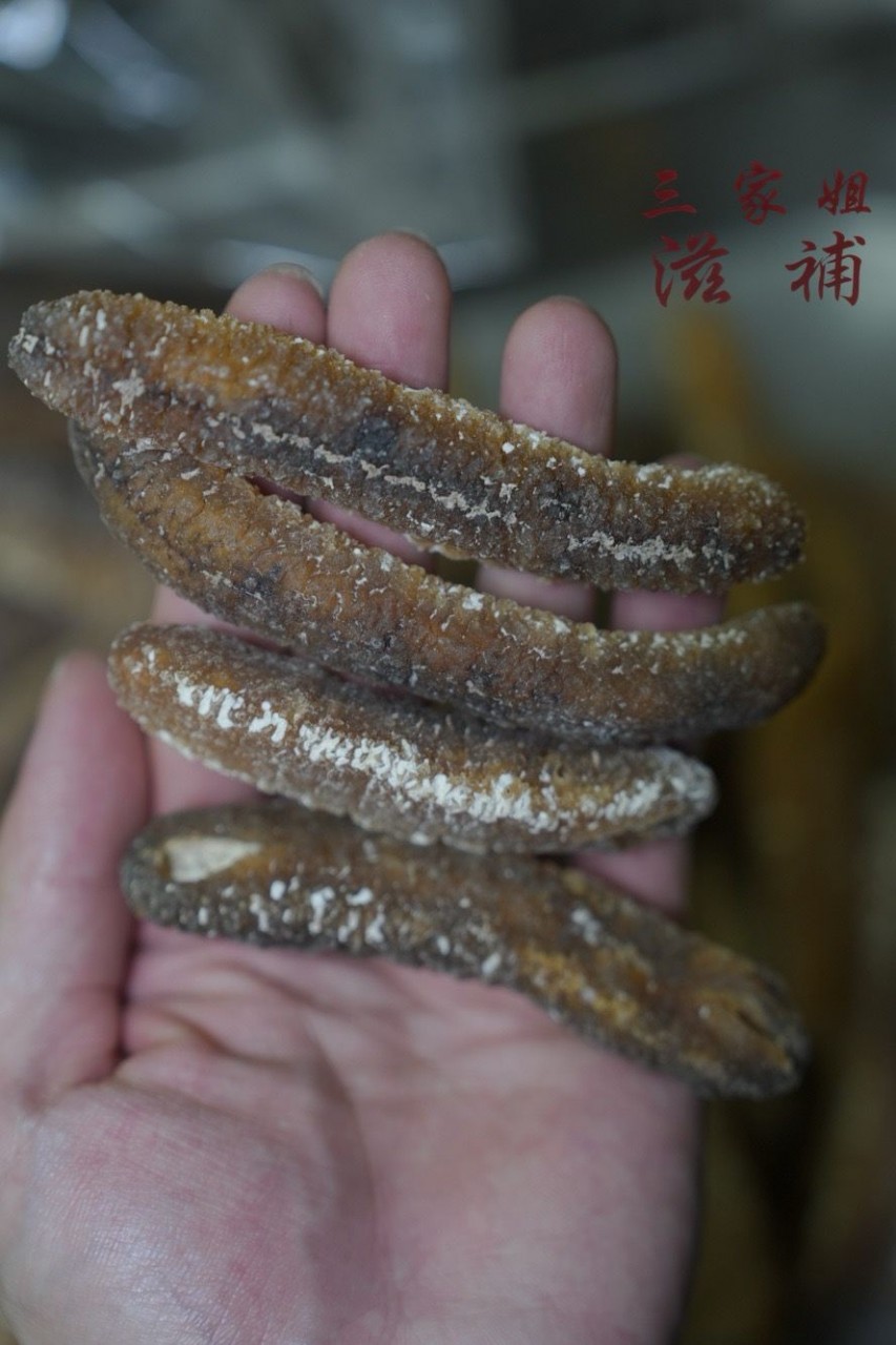 澳洲金沙禿參（28-30頭)
