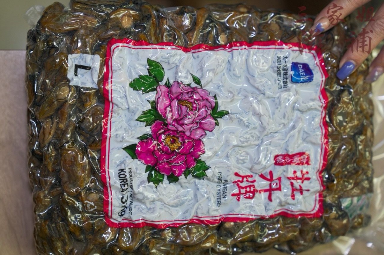 韓國蠔豉