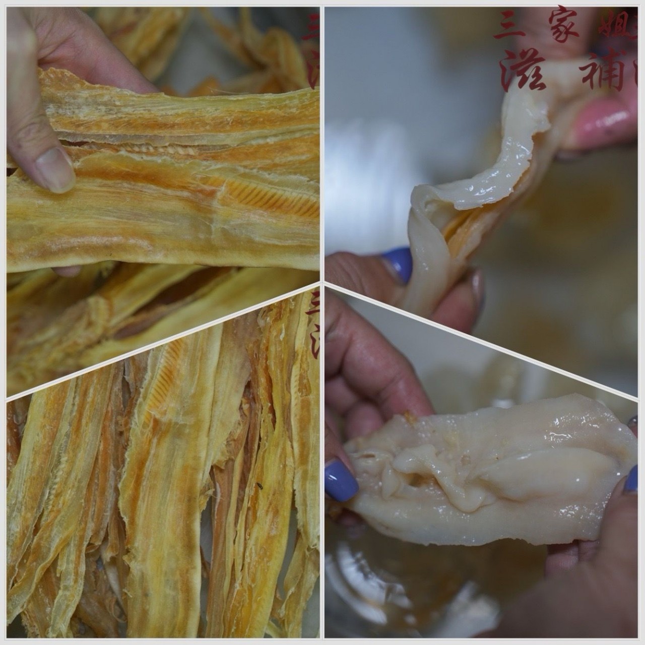 南美細魚唇