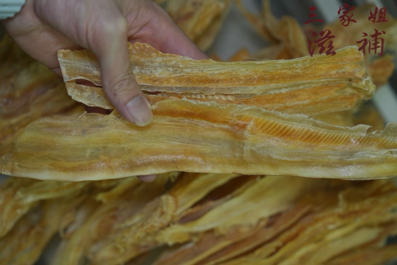 南美細魚唇