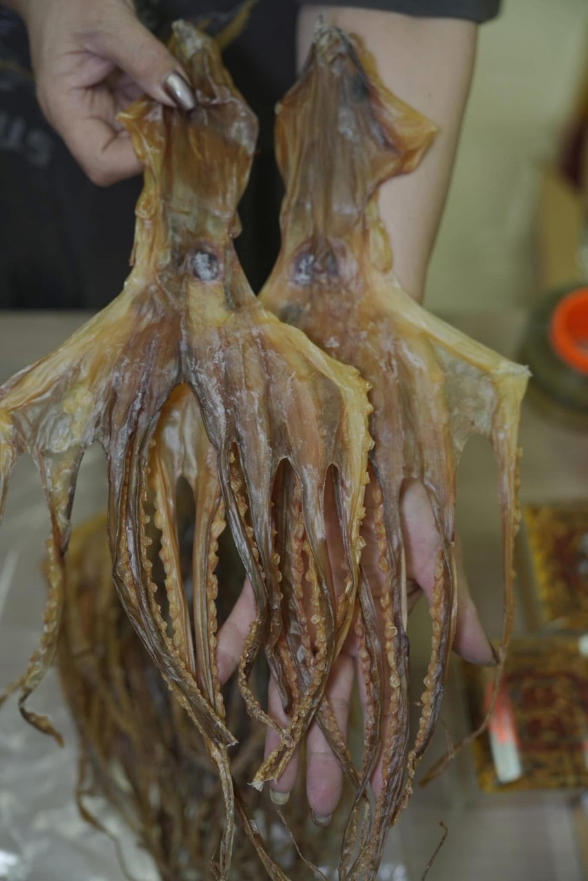 特大章魚