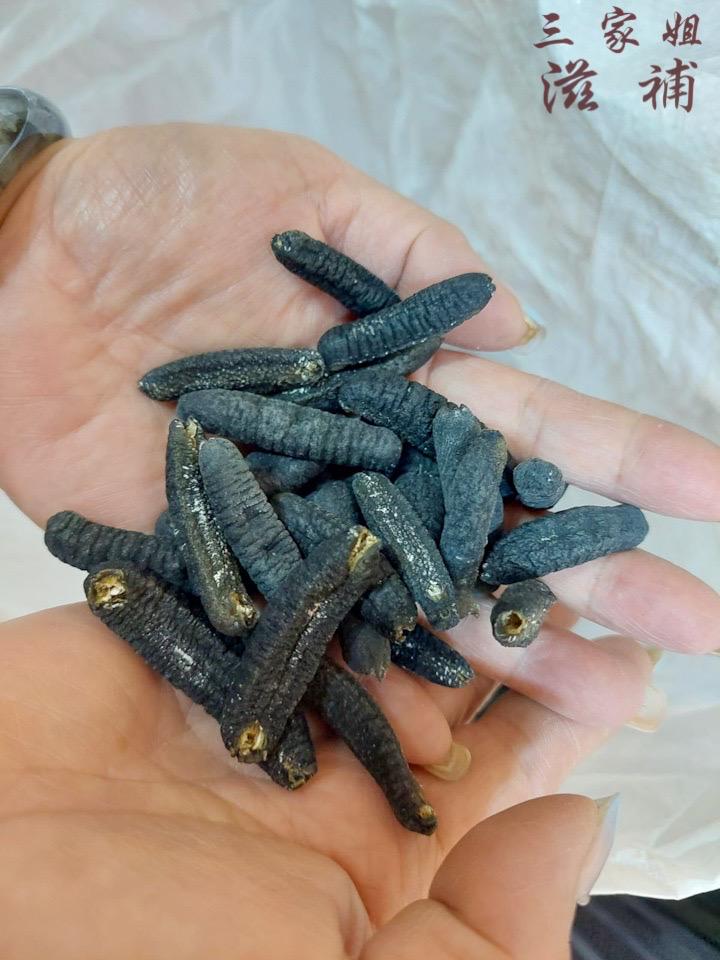 240支澳洲禿參
