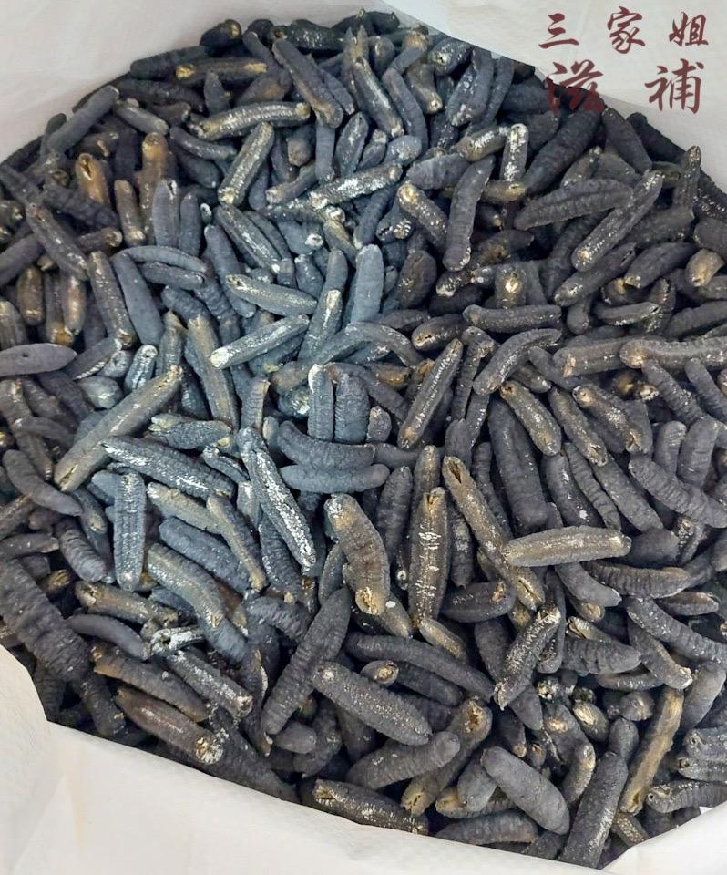 240支澳洲禿參