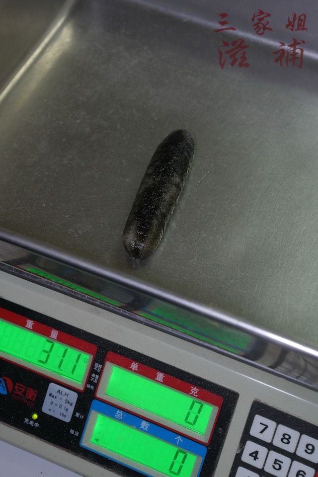 240支澳洲禿參