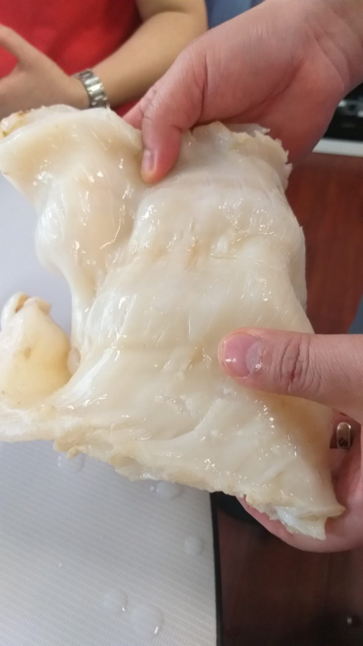超厚身非洲麻肚膠7-8頭 （當地魚民貨）
