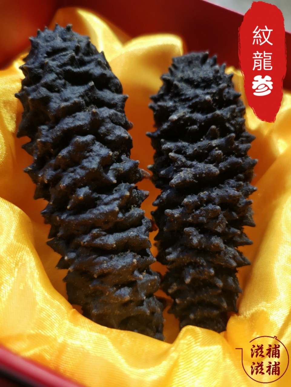 美國紋龍海参(250g)