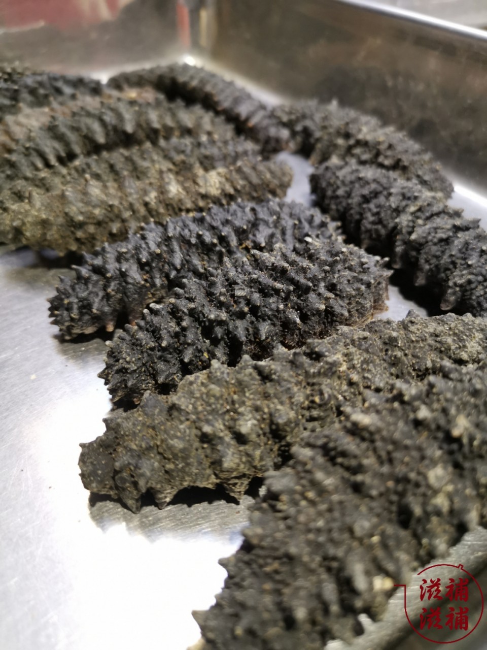 美國紋龍海参(250g)