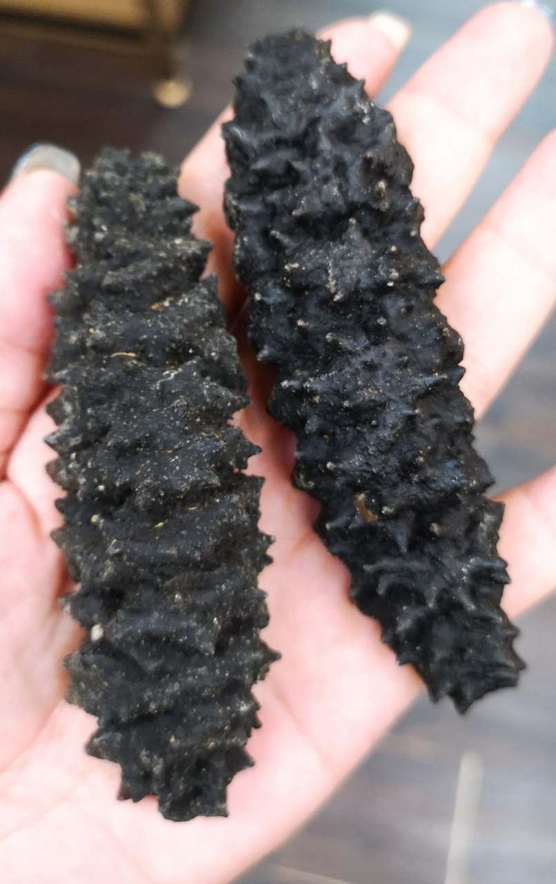 美國紋龍海参(250g)