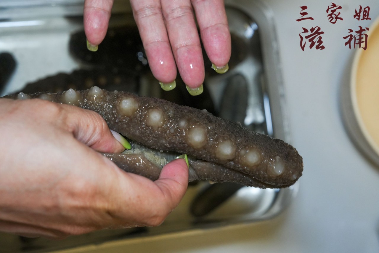 日本關西遼參 (28頭)