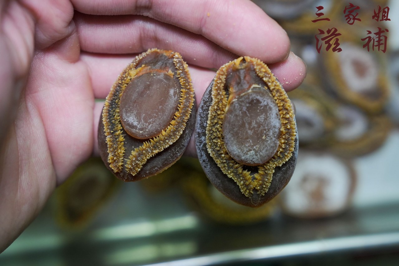 54頭南非吉品鮑魚