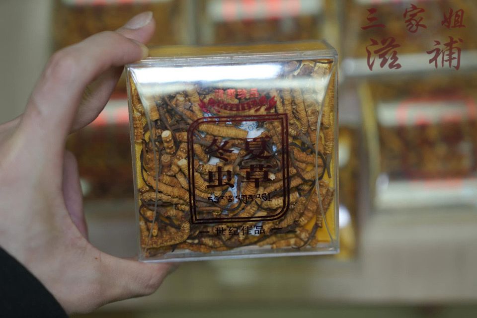 斷支冬蟲夏草110-120