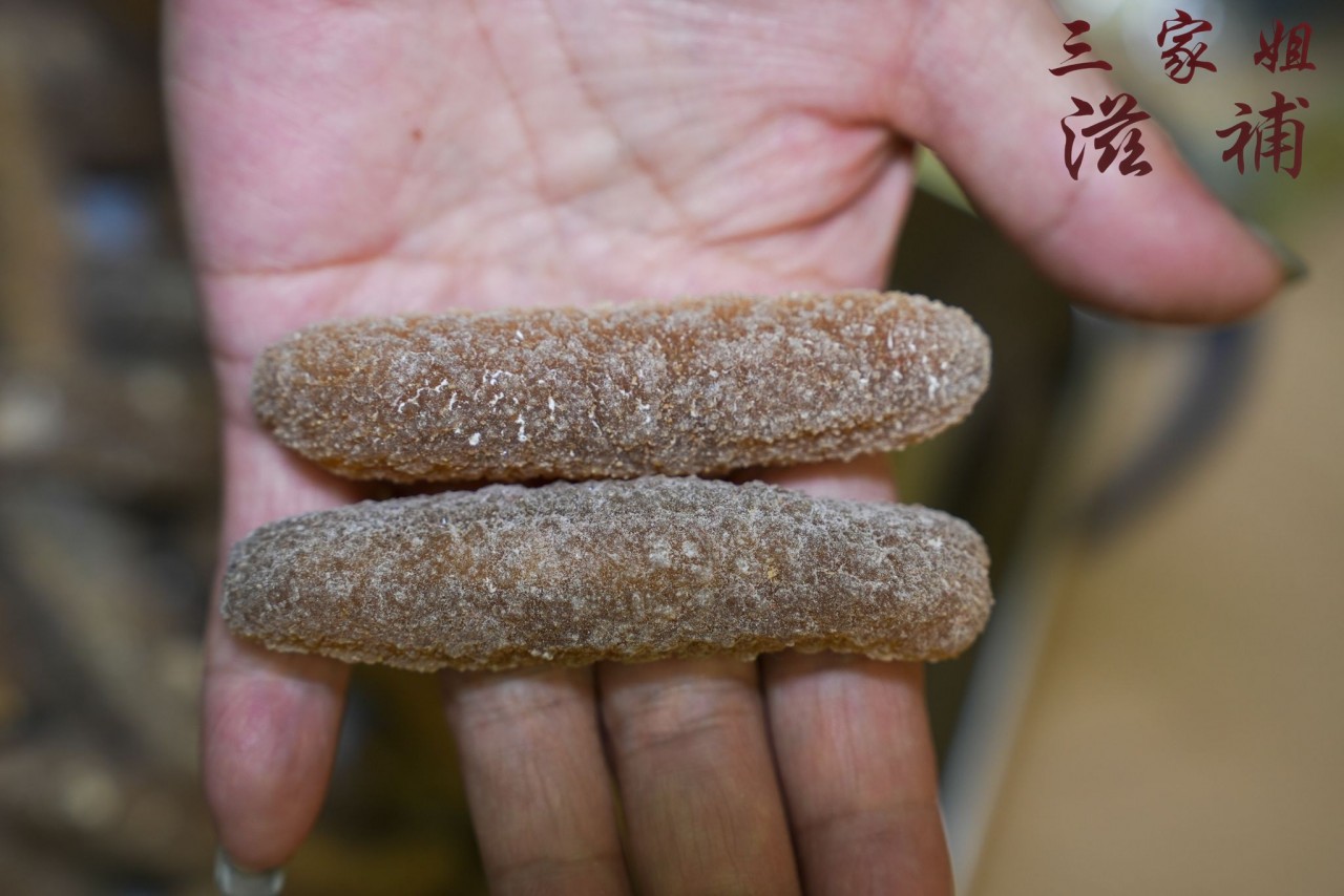 澳洲白玉禿參26-29頭