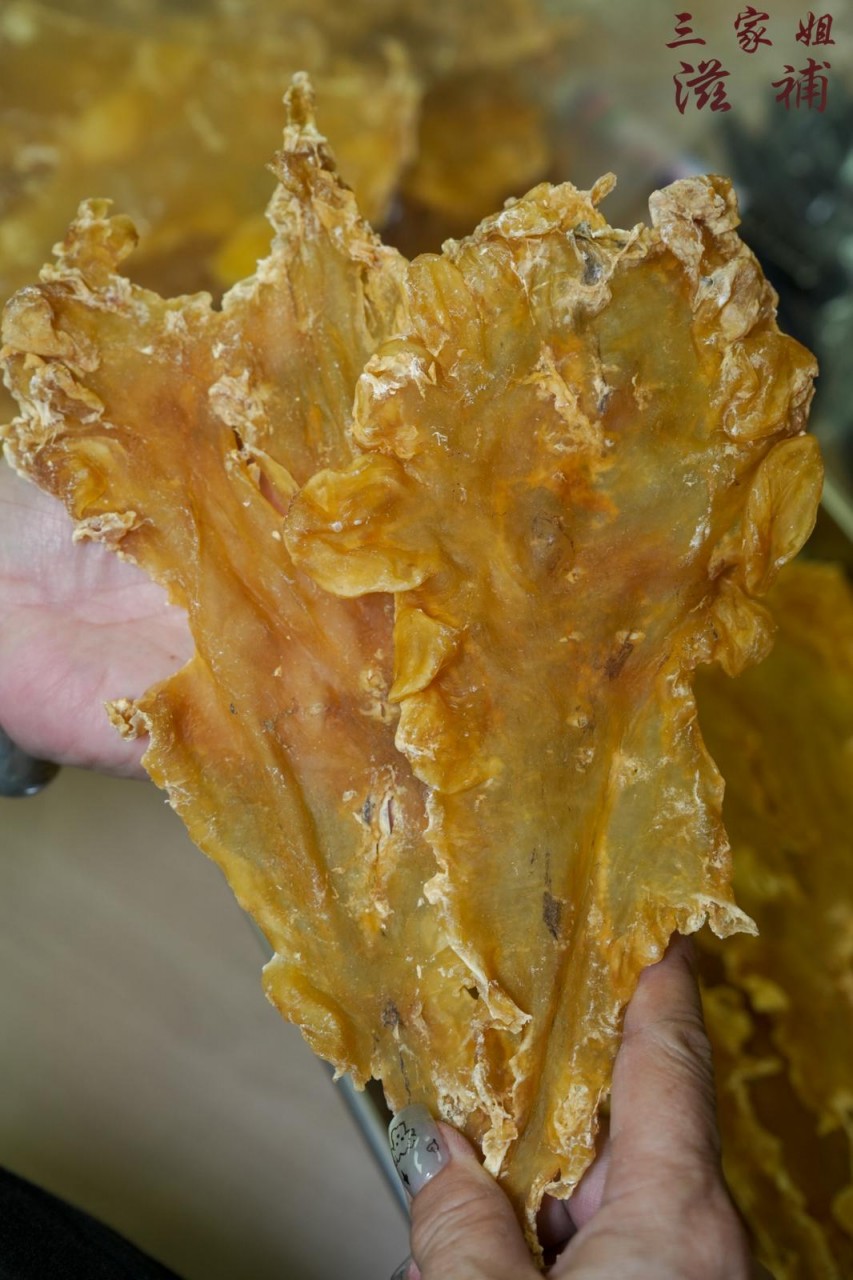 18-20頭 挪威鱈魚膠
