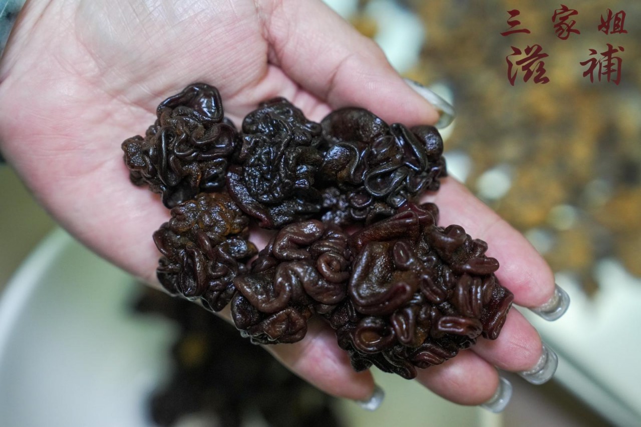 猴腦菇