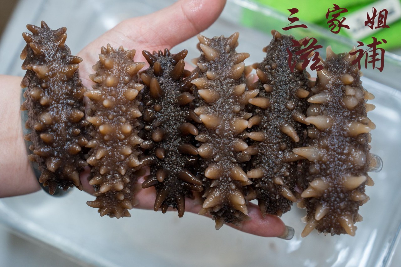 日本關東北海道6排針海參