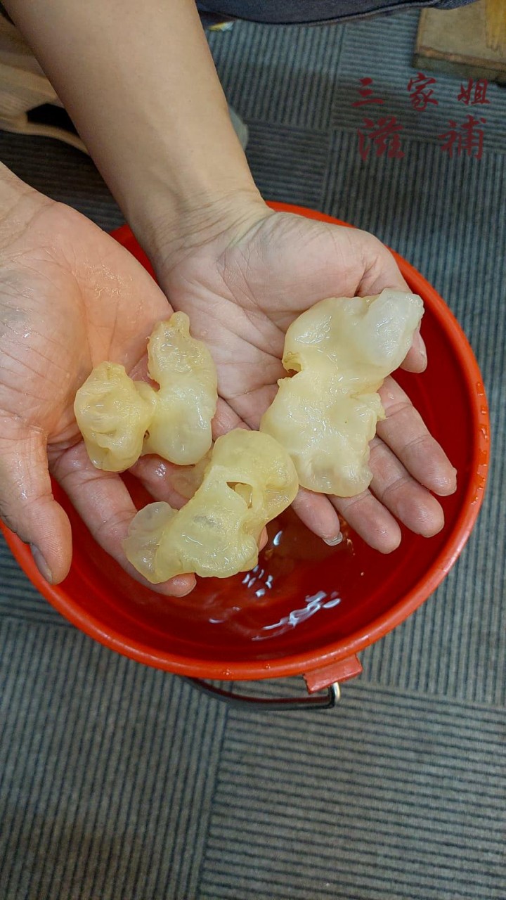 120原隻雞泡膠