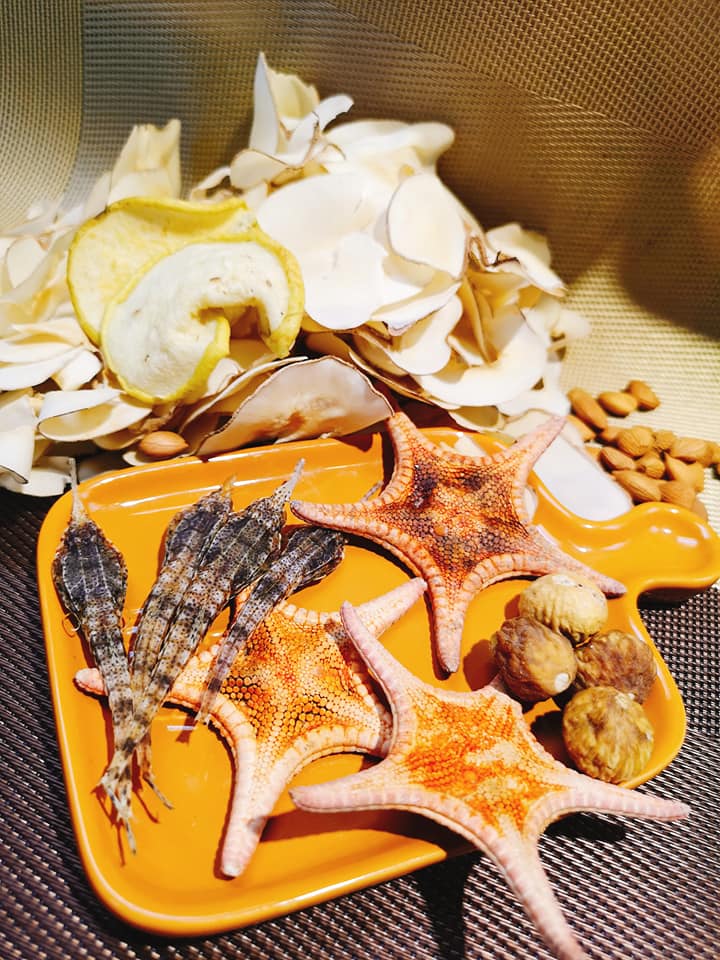 海麻雀海星湯包