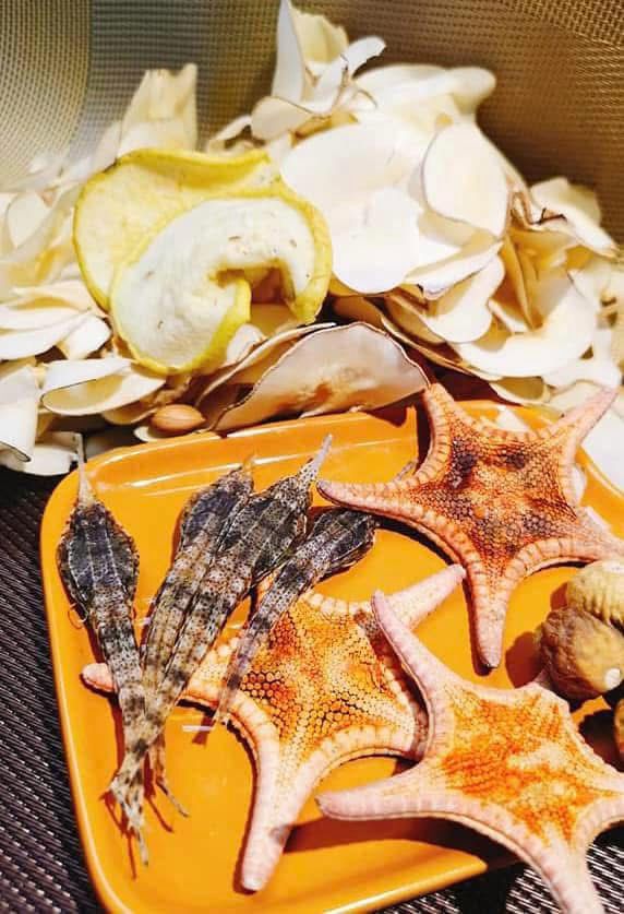 海麻雀海星湯包