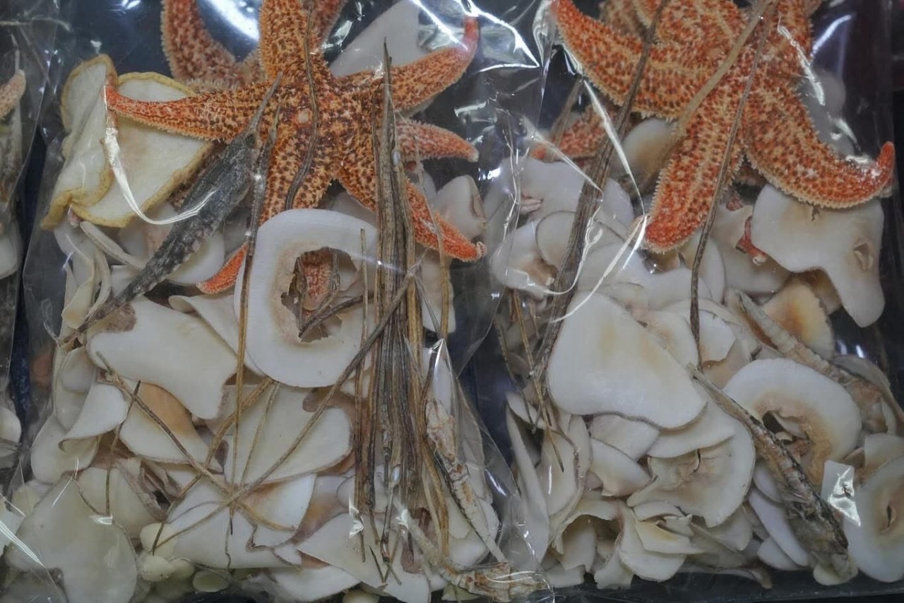 海麻雀海星湯包