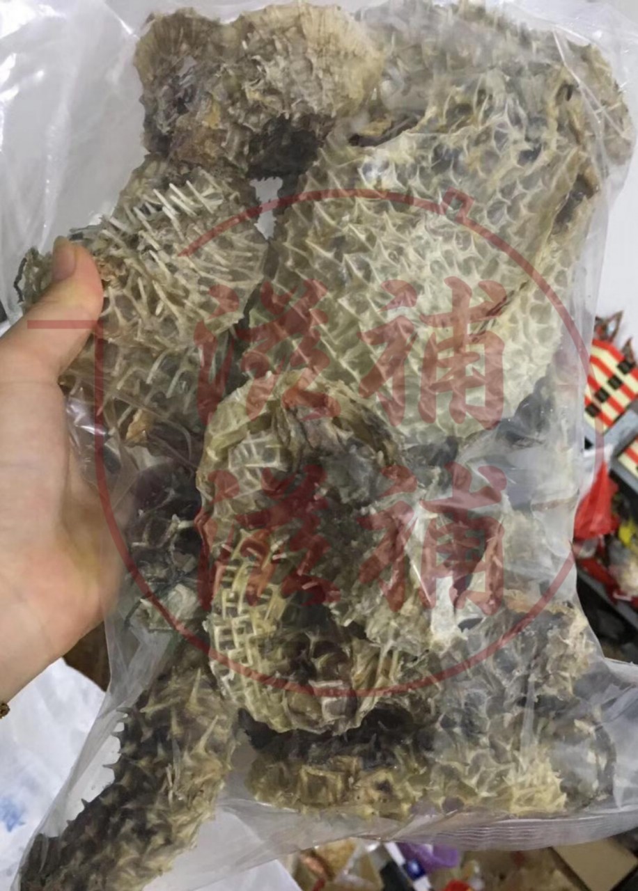 雞泡魚皮
