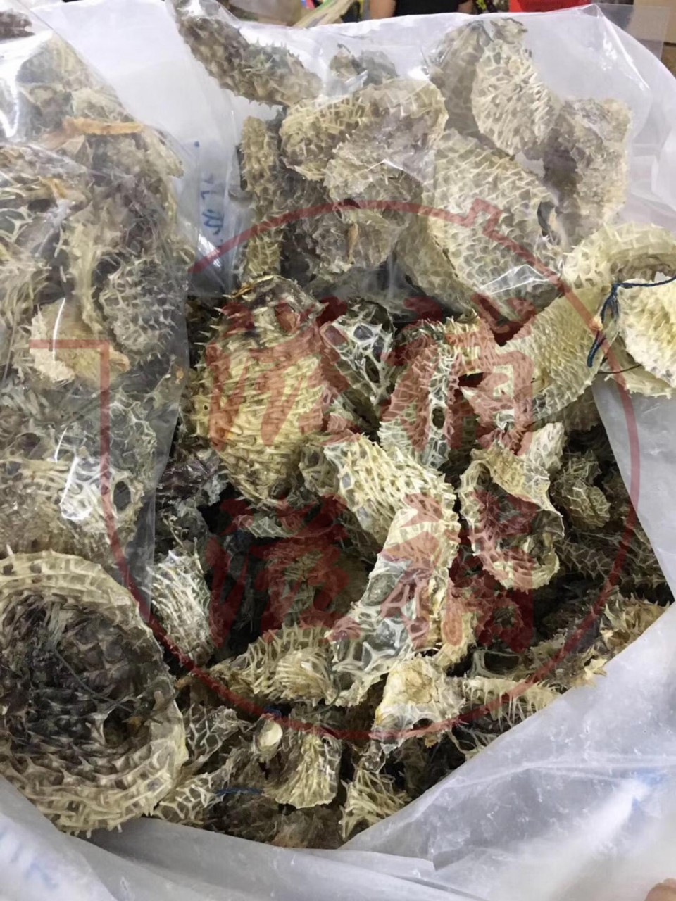 雞泡魚皮
