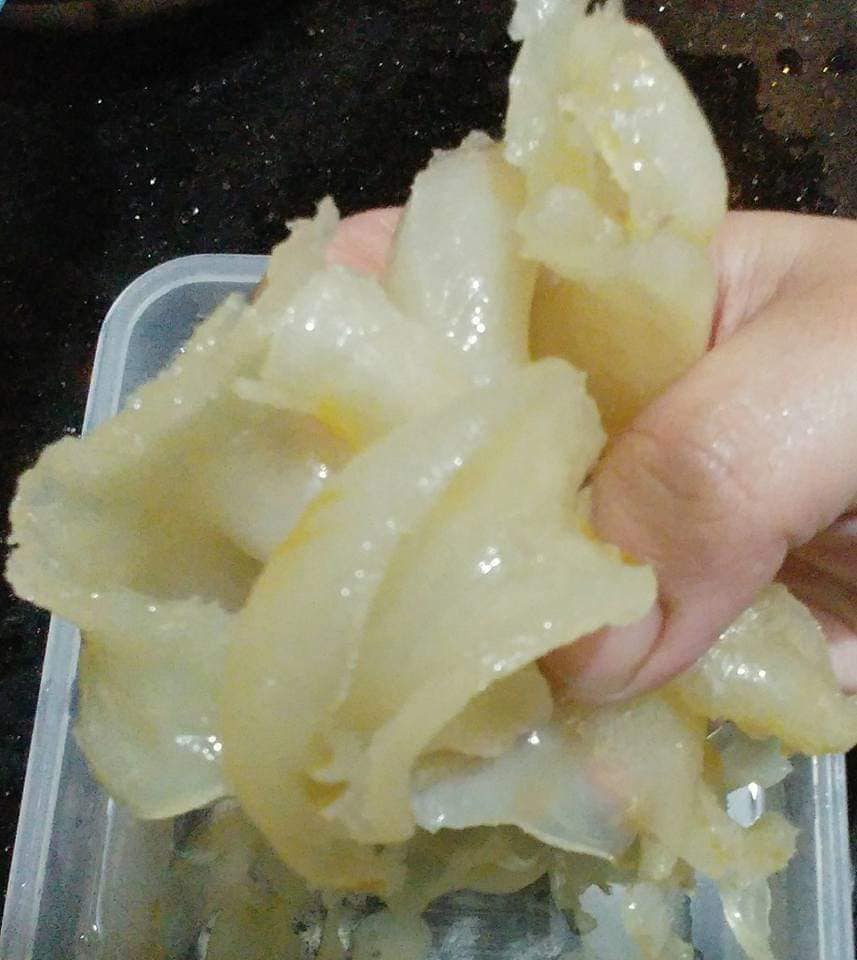 白花膠邊碎(100g)