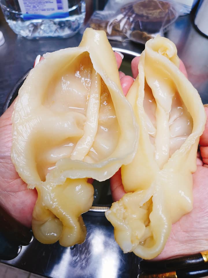 魚仔花膠(300g)