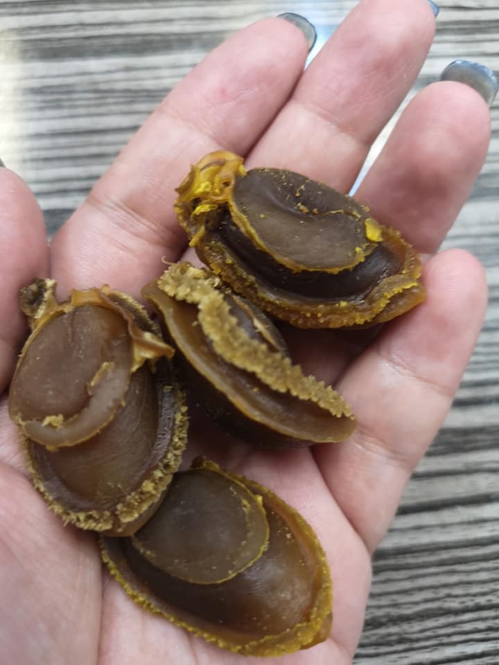 韓國溏心鮑魚bb(150g)
