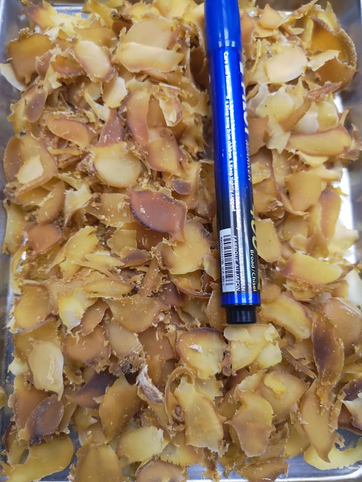 韓國溏心鮑魚bb(150g)