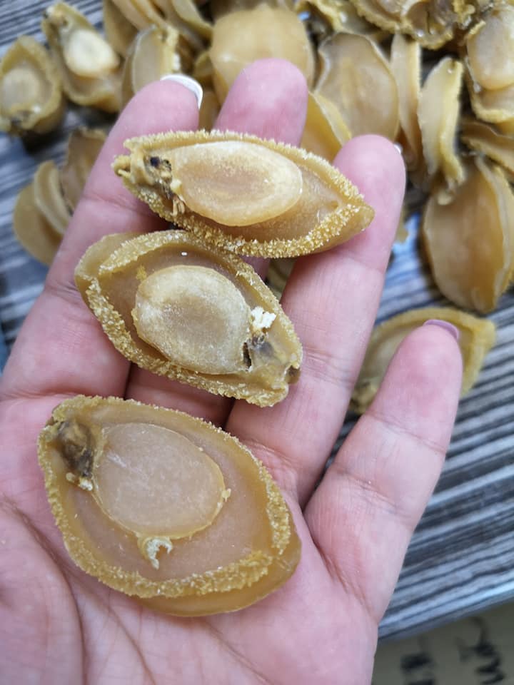 南非吉品溏心鮑魚(300g)