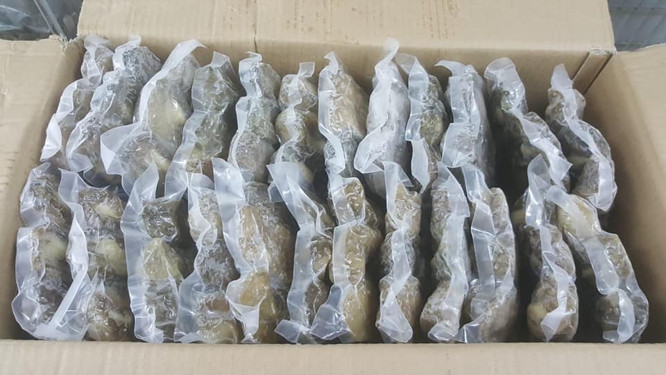 菲律賓急凍鮑魚