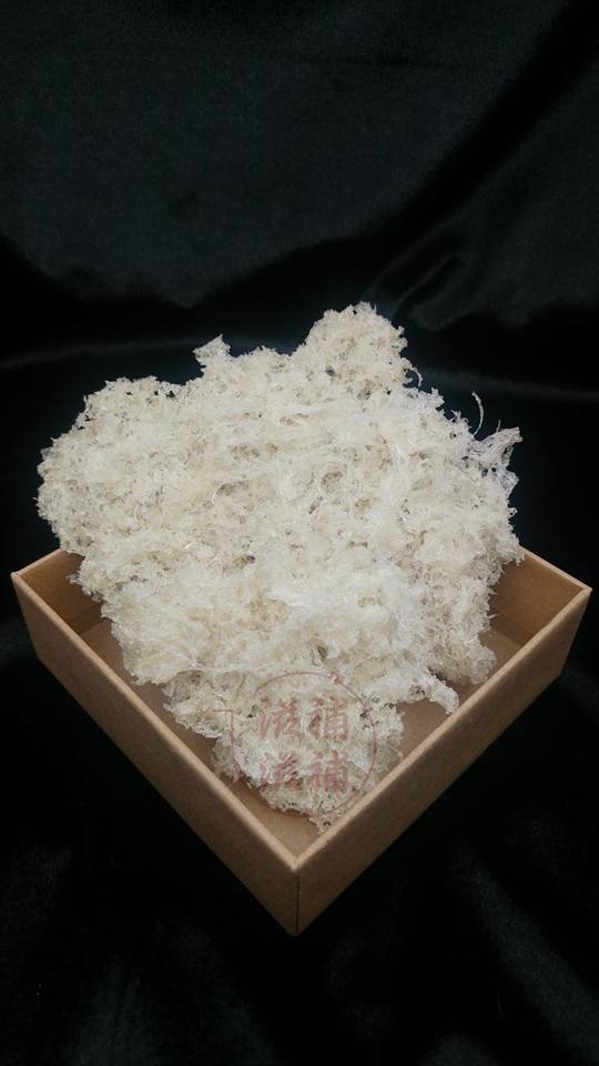 一人份量燕窩