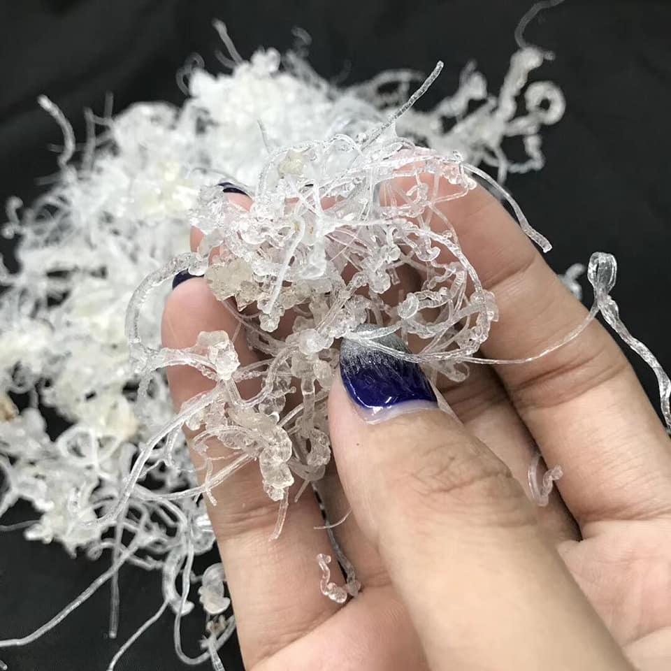 龙须雪燕