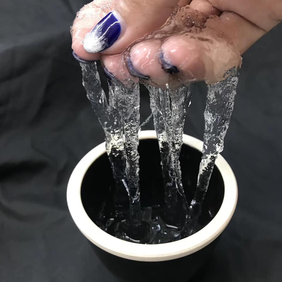 龍鬚雪燕