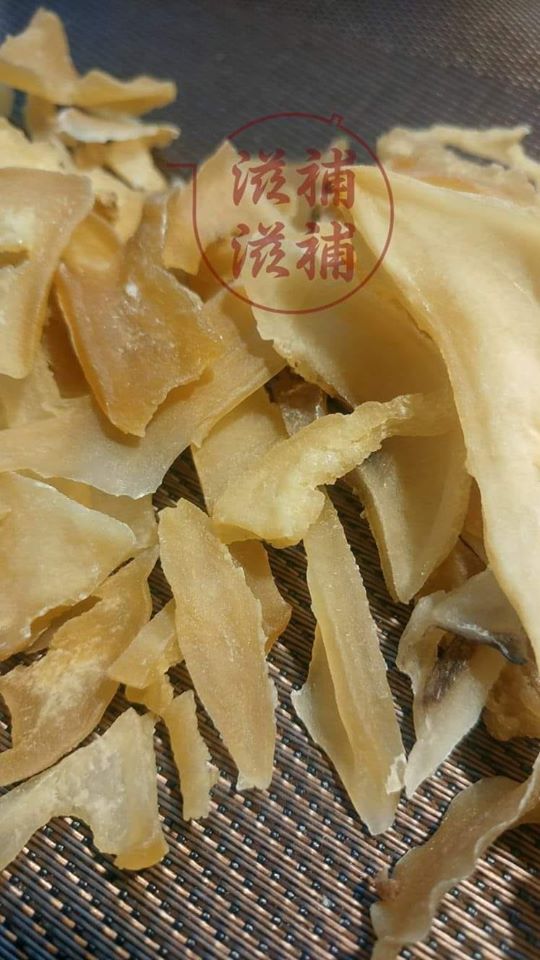 原色螺片大邊螺
