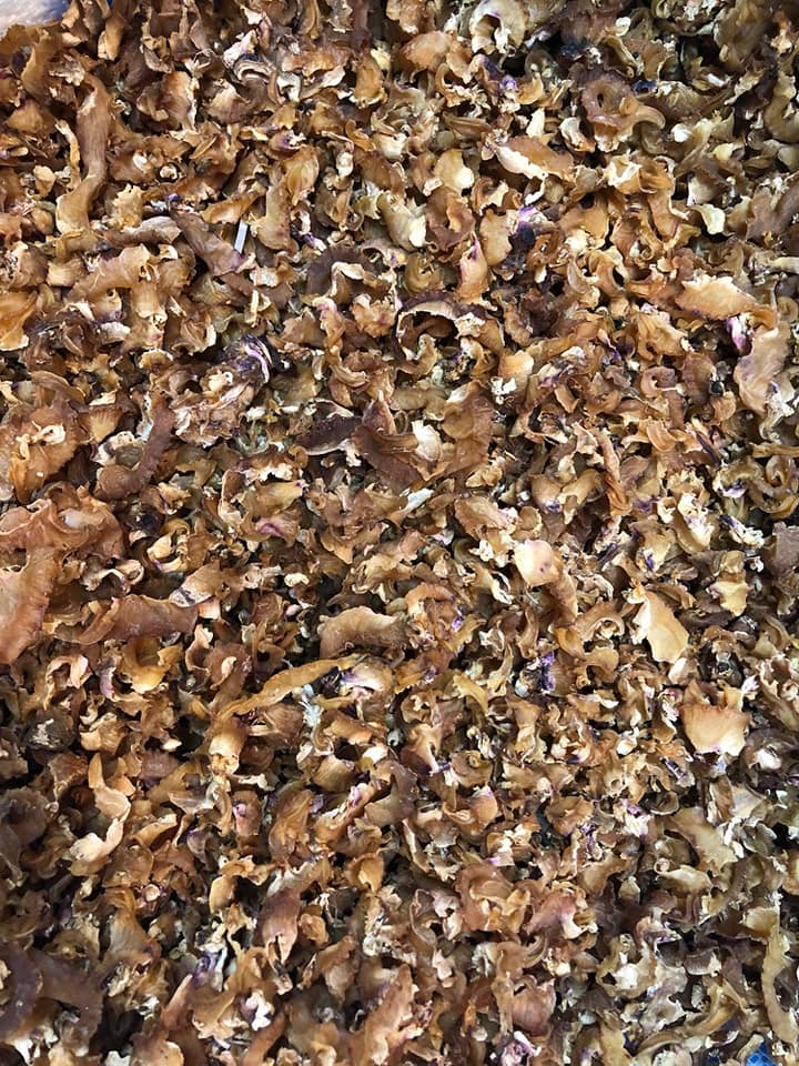 美國紅螺頭邊