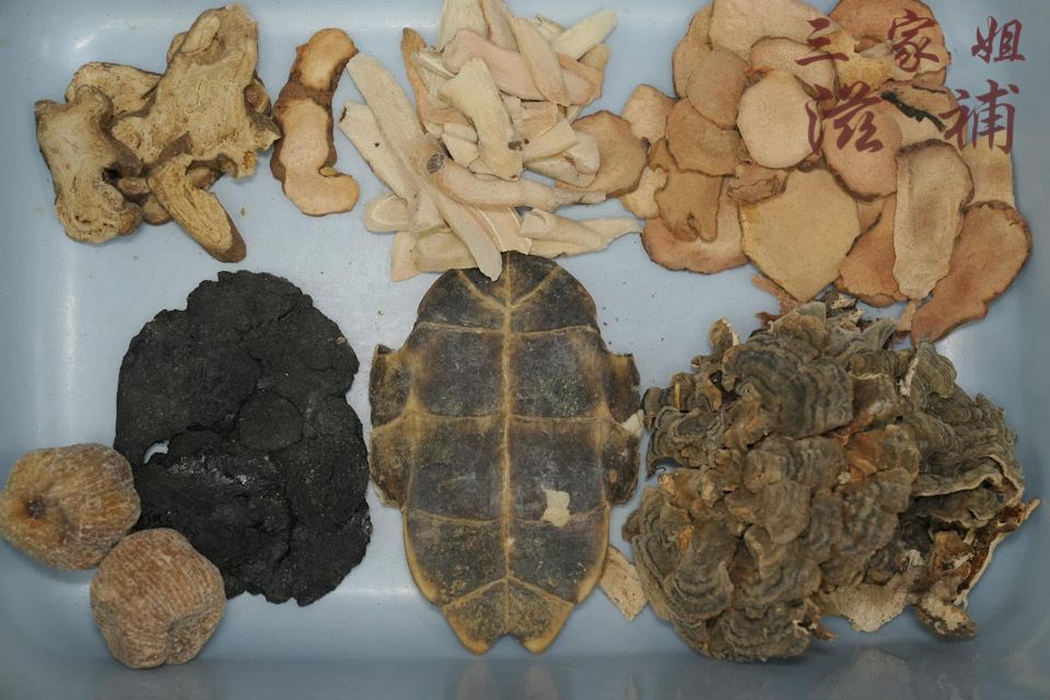 皇牌龜板湯包