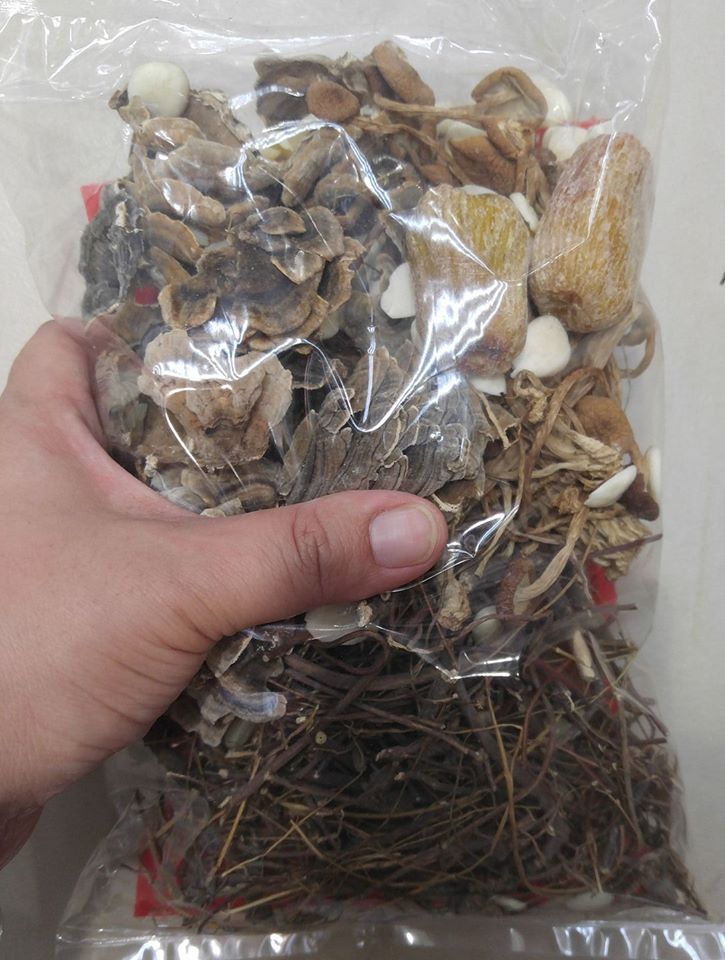 云芝鸡骨草蜜棗汤包