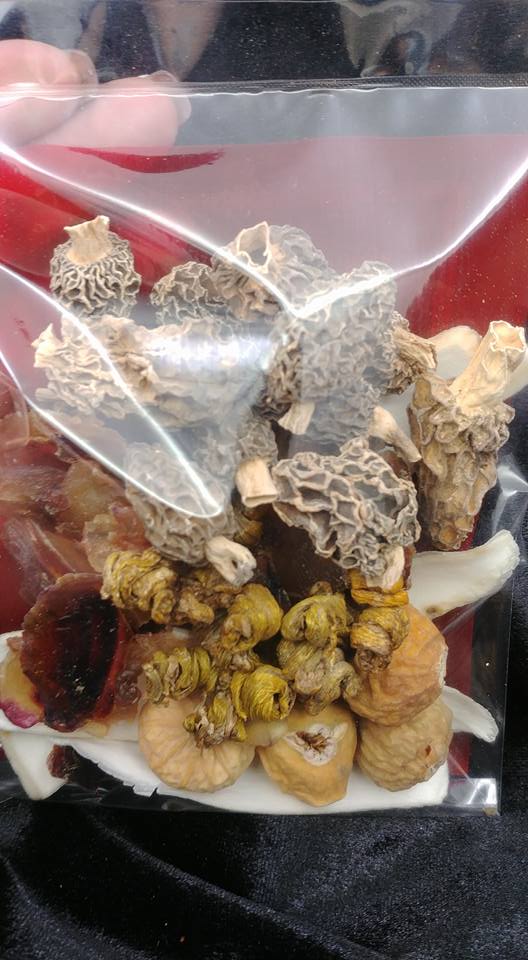 野生羊肚菌石斛湯