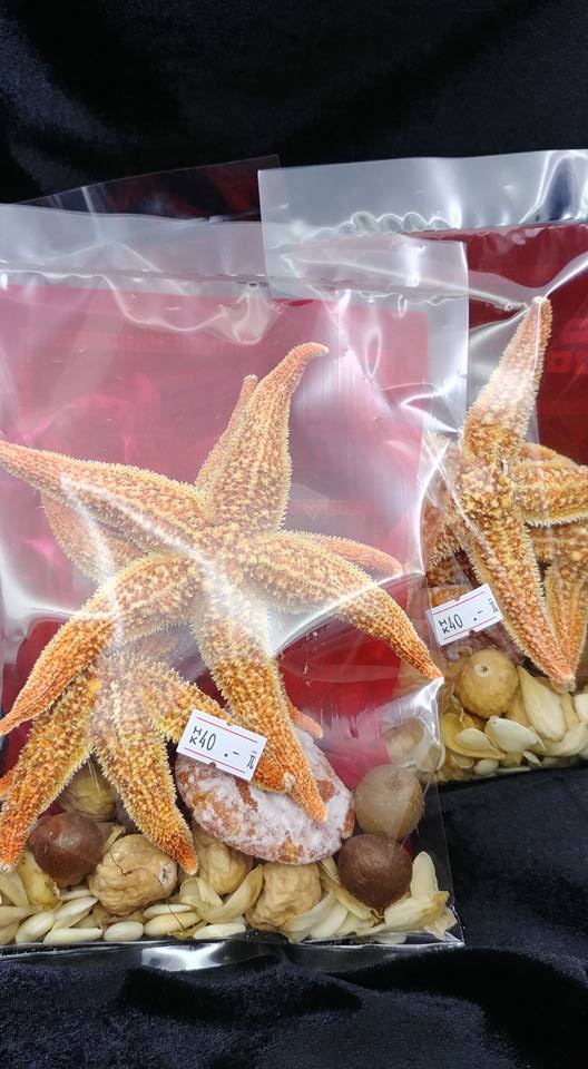 海星止咳湯包