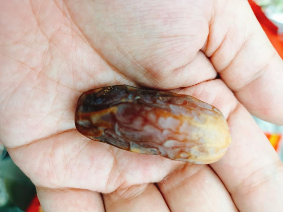 沙特頂級椰棗