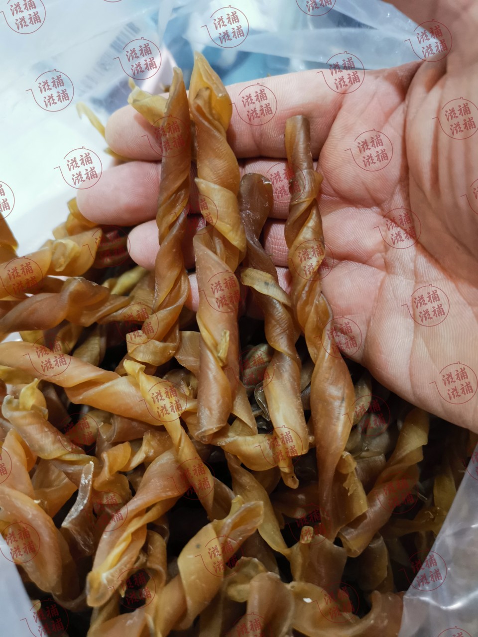細象拔蚌干