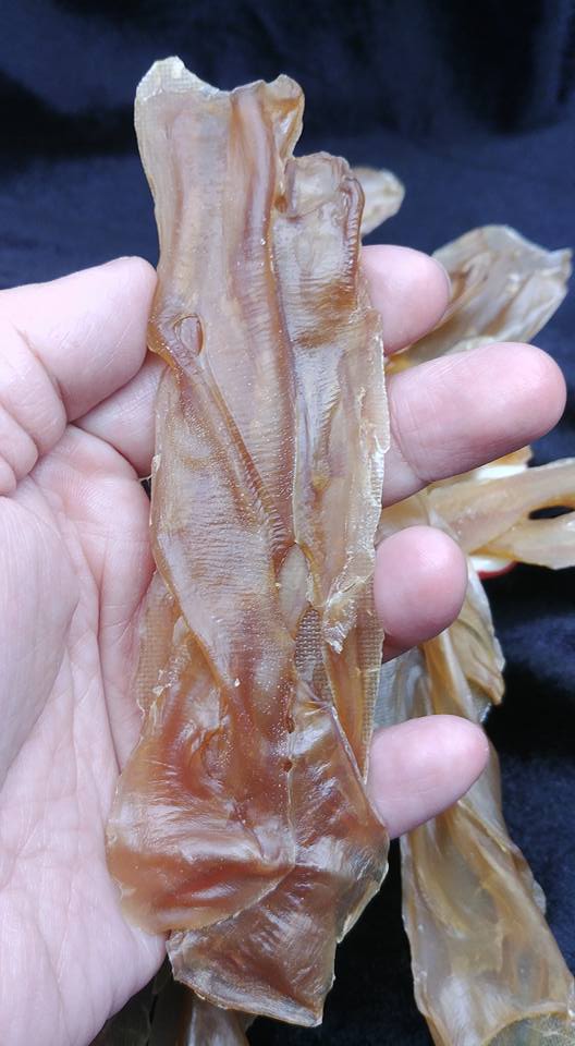大象拔蚌干