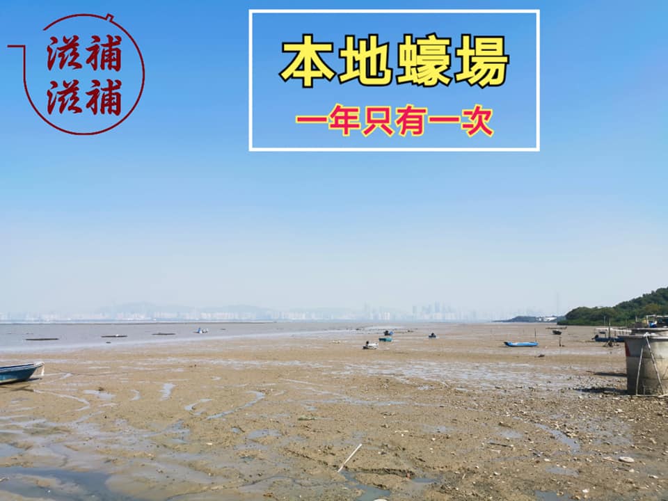 65頭金蠔(本地)