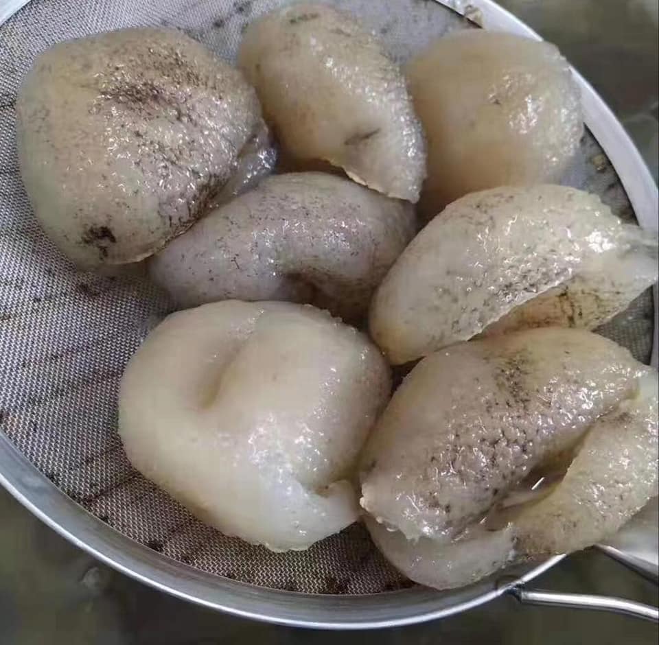 珍珠參