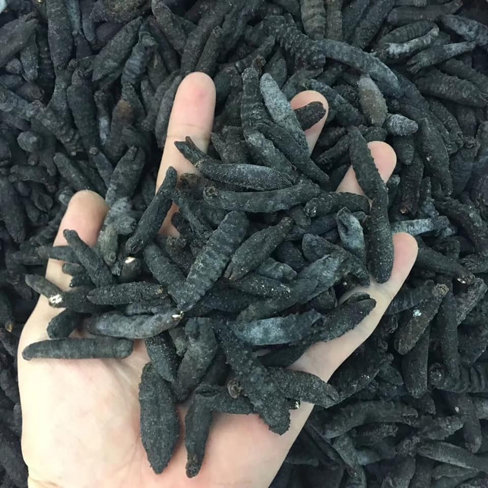 澳洲黑參