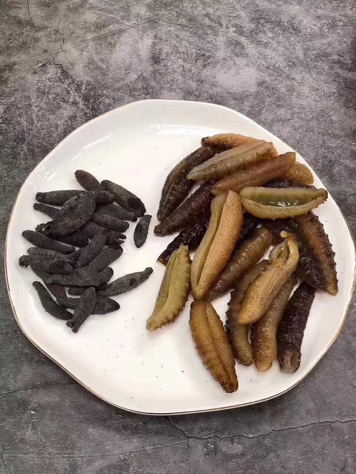 澳洲黑參
