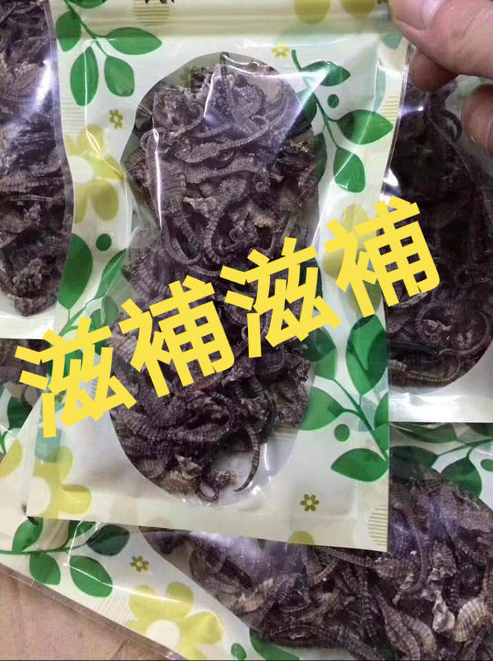 海馬bb