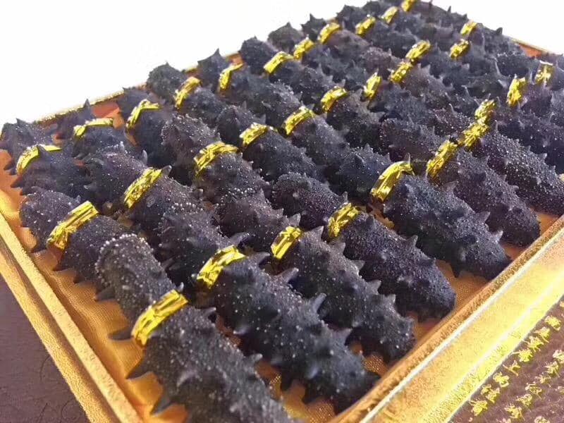 遼參